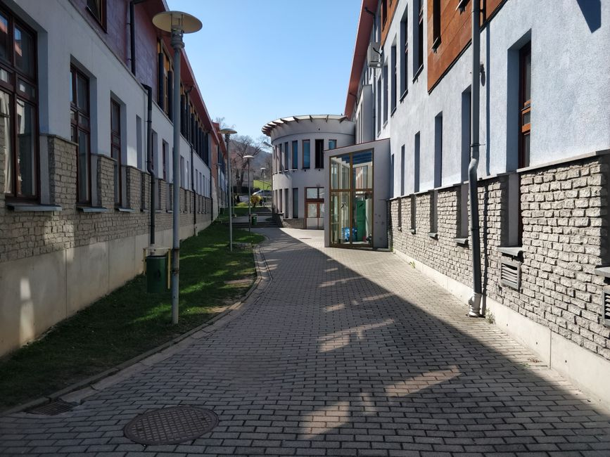 Škola
